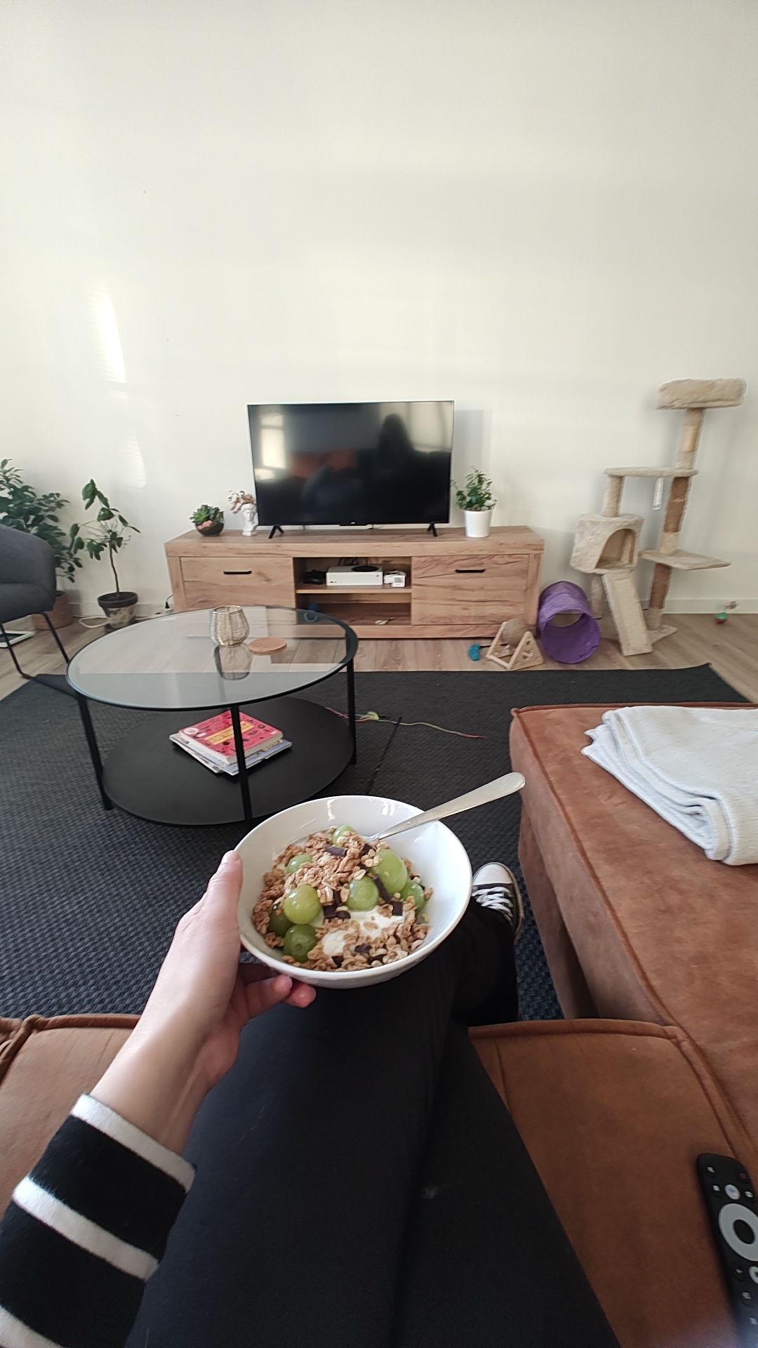 Living del departamento que cuidé en Ámsterdam